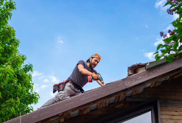 Best Roof Ventilation Installation  in Baxley, GA