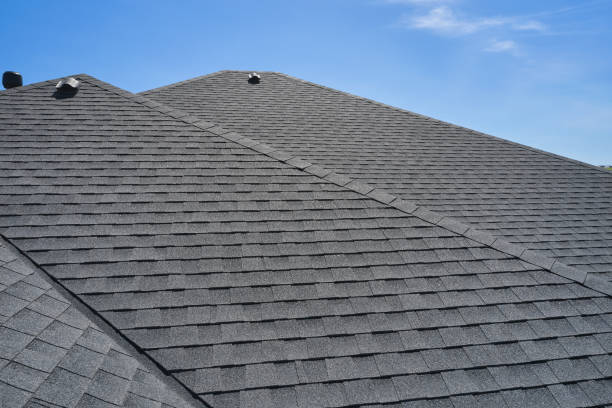 Best Skylight Installation and Repair  in Baxley, GA